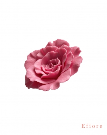 Mýdlový květ růže Rose