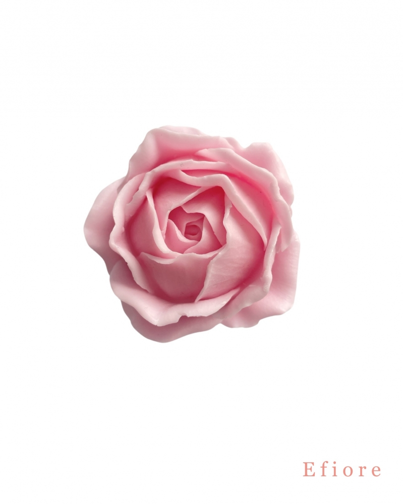 Mýdlový květ růže Lucia