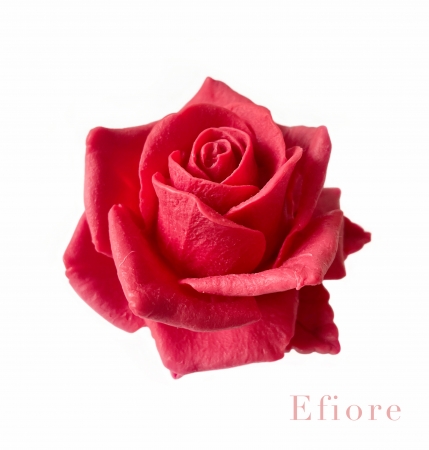 Dárkové balení dvou mýdlových květů růže v lososovém a červeném odstínu v bílé hranaté krabičce 