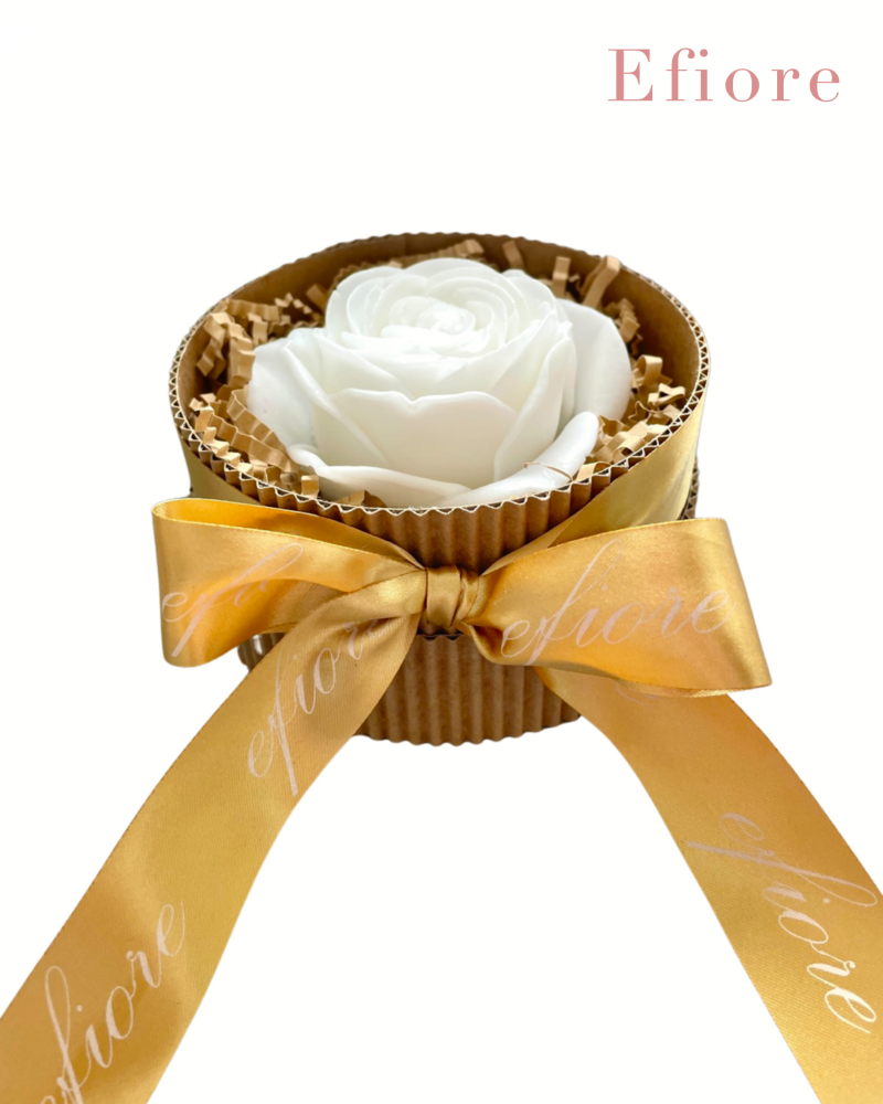 Dárkové balení mýdlového květu růže Princess v kulaté přírodní krabičce - bílá