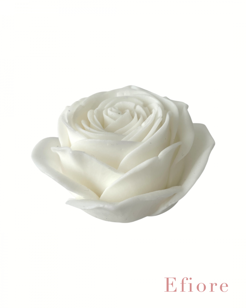 Mýdlový květ růže Princess - bílý