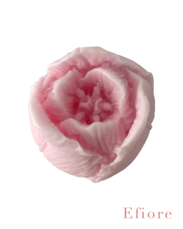 Mýdlový květ tulipánu - růžový