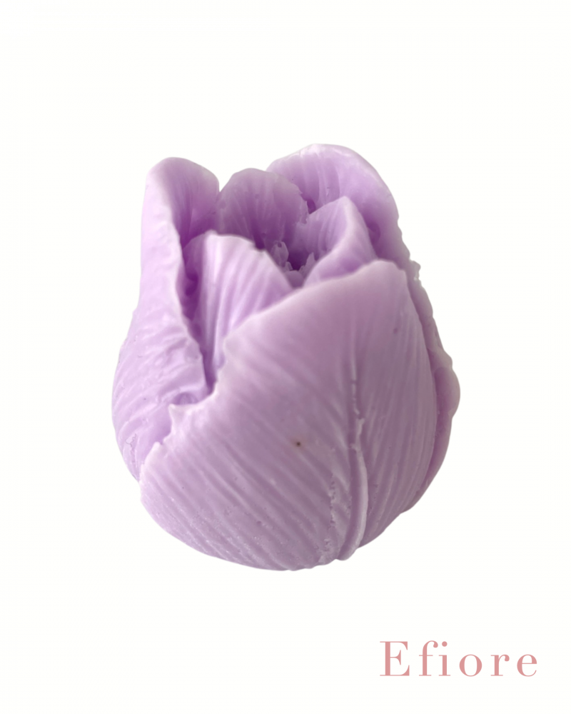 Mýdlový květ tulipánu - fialový
