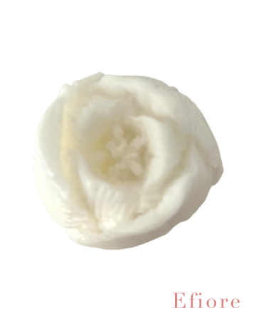 Mýdlový květ tulipánu - bílý