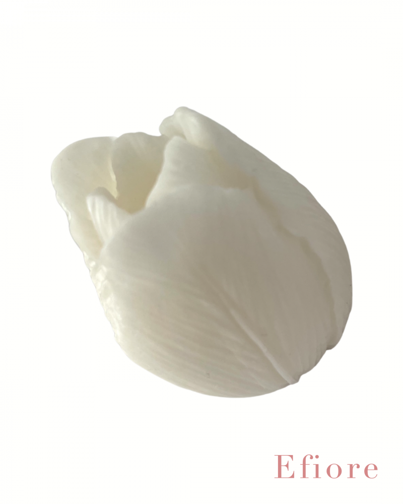 Mýdlový květ tulipánu - bílý